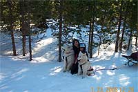 Oh, wait, Cameron sees Candice and her dogsled team, must stop and pet the dogs before the ride.