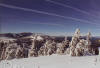 View from Hemlock Ridge