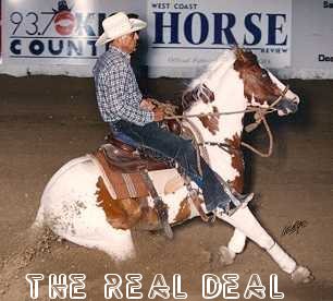 Freckle Face Smoke Hackamore Champion with Smoky Pritchett