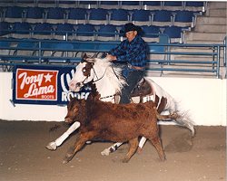 Bonnies Stranger SBF Cow Work and Smoky Pritchett