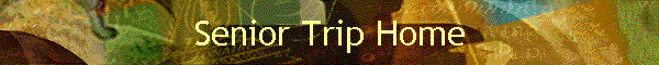 Senior Trip Home