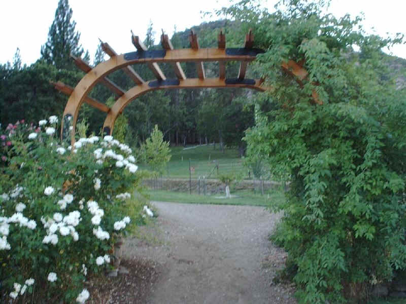 Looking through Arbour into upper pasture